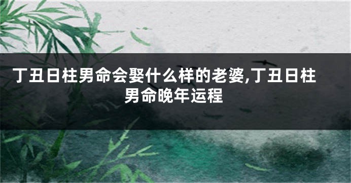 丁丑日柱男命会娶什么样的老婆,丁丑日柱男命晚年运程