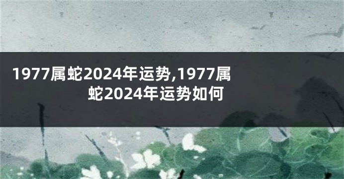 1977属蛇2024年运势,1977属蛇2024年运势如何
