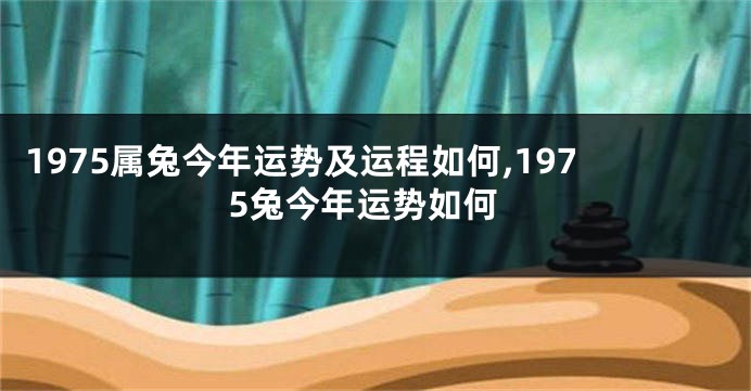 1975属兔今年运势及运程如何,1975兔今年运势如何