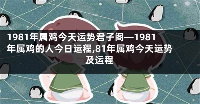 1981年属鸡今天运势君子阁—1981年属鸡的人今日运程,81年属鸡今天运势及运程