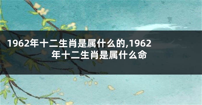 1962年十二生肖是属什么的,1962年十二生肖是属什么命