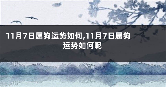 11月7日属狗运势如何,11月7日属狗运势如何呢