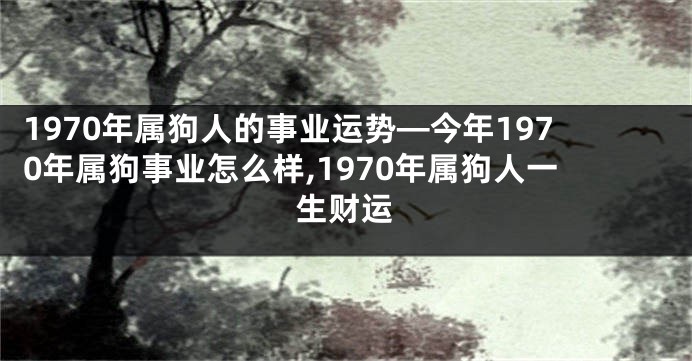 1970年属狗人的事业运势—今年1970年属狗事业怎么样,1970年属狗人一生财运