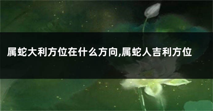 属蛇大利方位在什么方向,属蛇人吉利方位