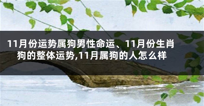 11月份运势属狗男性命运、11月份生肖狗的整体运势,11月属狗的人怎么样