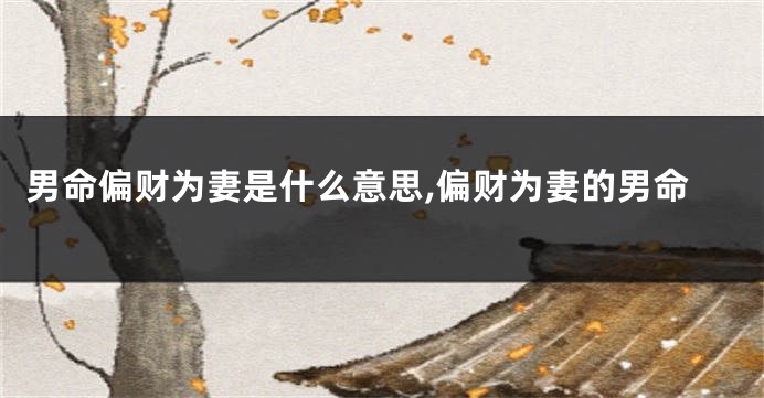 男命偏财为妻是什么意思,偏财为妻的男命