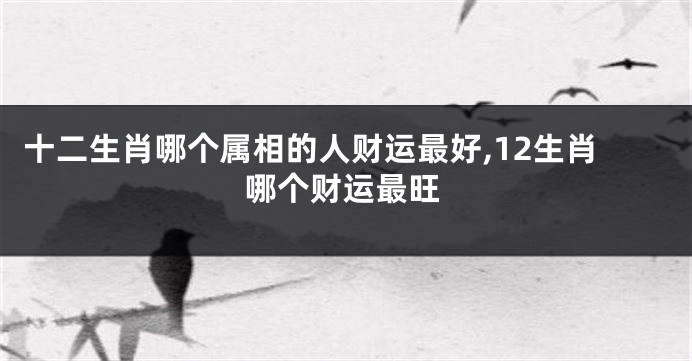 十二生肖哪个属相的人财运最好,12生肖哪个财运最旺
