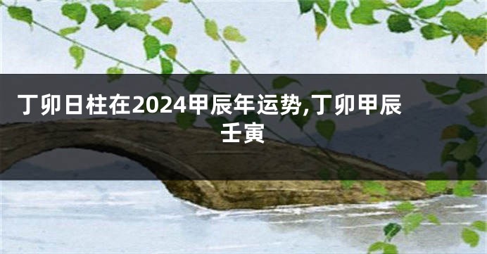丁卯日柱在2024甲辰年运势,丁卯甲辰壬寅