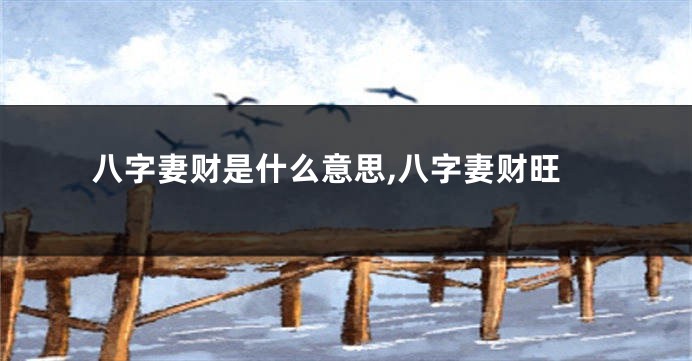 八字妻财是什么意思,八字妻财旺