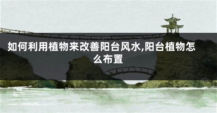 如何利用植物来改善阳台风水,阳台植物怎么布置