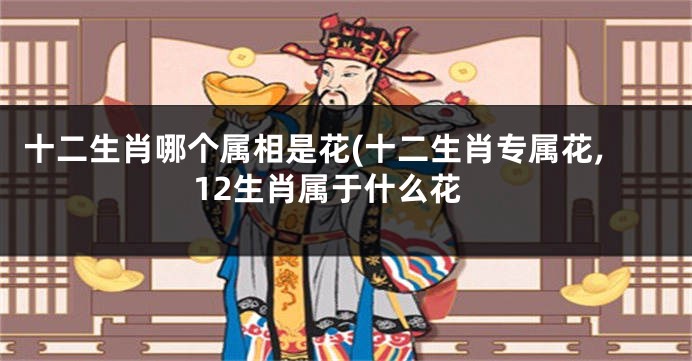 十二生肖哪个属相是花(十二生肖专属花,12生肖属于什么花