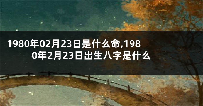 1980年02月23日是什么命,1980年2月23日出生八字是什么