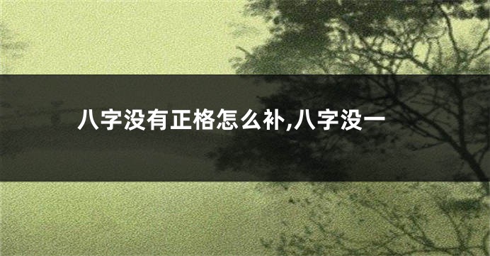 八字没有正格怎么补,八字没一