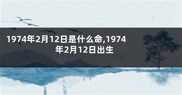1974年2月12日是什么命,1974年2月12日出生