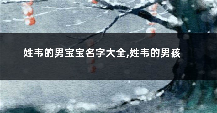 姓韦的男宝宝名字大全,姓韦的男孩