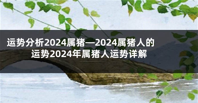 运势分析2024属猪—2024属猪人的运势2024年属猪人运势详解
