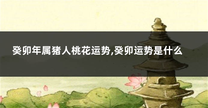 癸卯年属猪人桃花运势,癸卯运势是什么