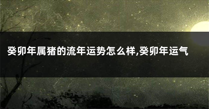 癸卯年属猪的流年运势怎么样,癸卯年运气