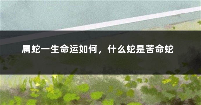 属蛇一生命运如何，什么蛇是苦命蛇