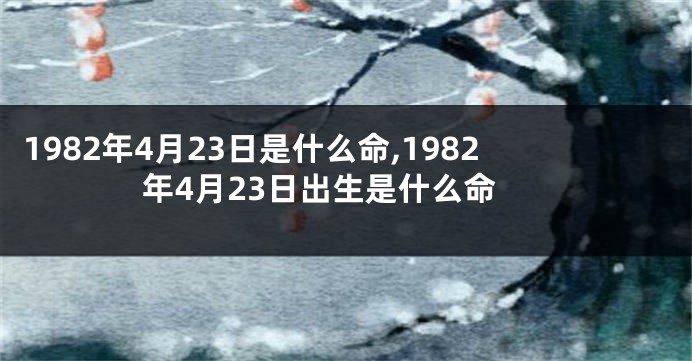 1982年4月23日是什么命,1982年4月23日出生是什么命