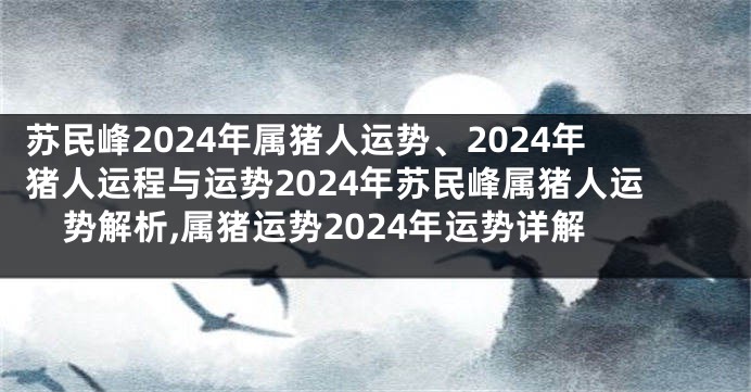 苏民峰2024年属猪人运势、2024年猪人运程与运势2024年苏民峰属猪人运势解析,属猪运势2024年运势详解