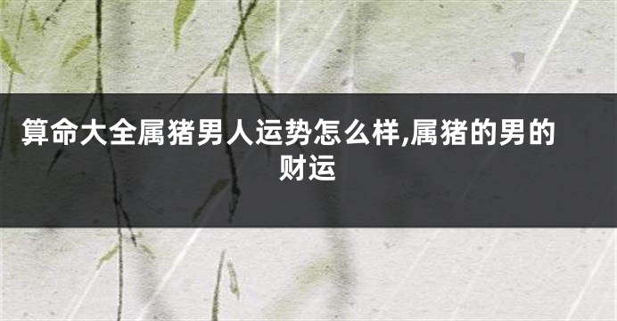 算命大全属猪男人运势怎么样,属猪的男的财运