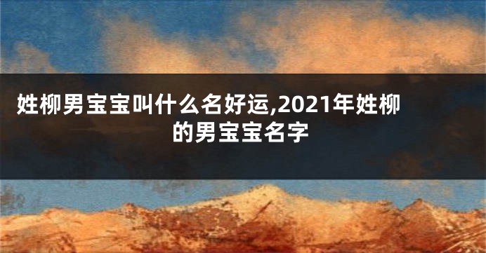姓柳男宝宝叫什么名好运,2021年姓柳的男宝宝名字