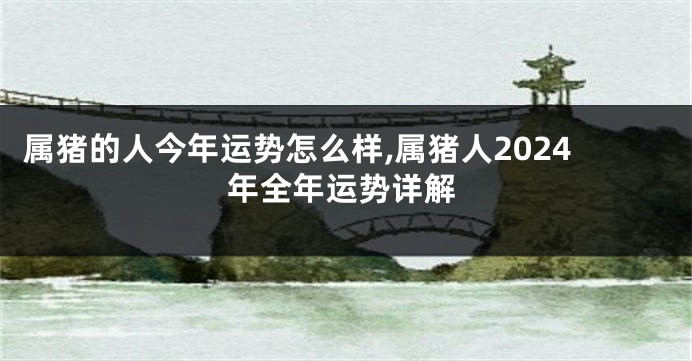 属猪的人今年运势怎么样,属猪人2024年全年运势详解