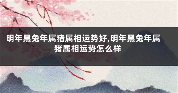 明年黑兔年属猪属相运势好,明年黑兔年属猪属相运势怎么样