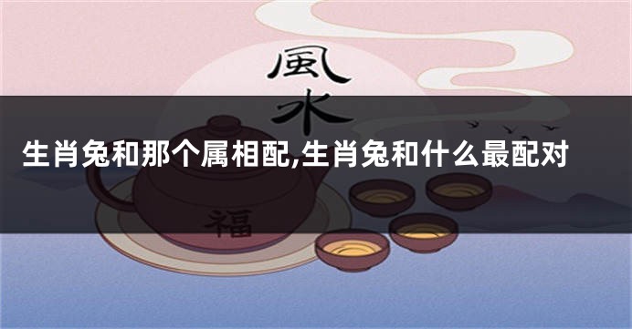 生肖兔和那个属相配,生肖兔和什么最配对