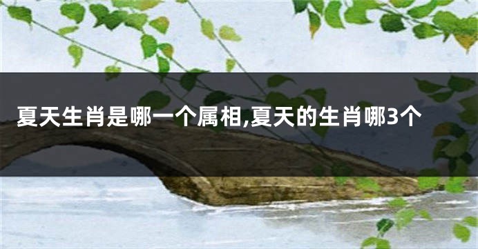 夏天生肖是哪一个属相,夏天的生肖哪3个