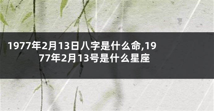 1977年2月13日八字是什么命,1977年2月13号是什么星座