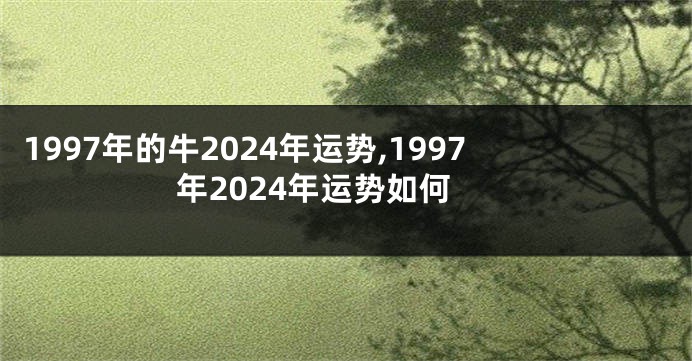 1997年的牛2024年运势,1997年2024年运势如何