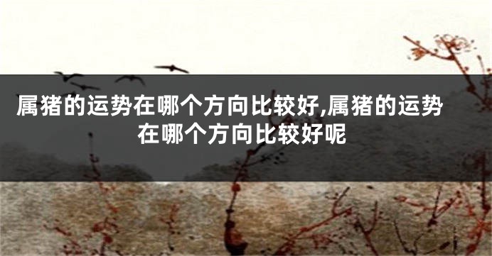 属猪的运势在哪个方向比较好,属猪的运势在哪个方向比较好呢
