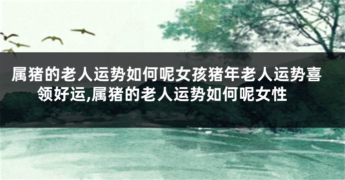 属猪的老人运势如何呢女孩猪年老人运势喜领好运,属猪的老人运势如何呢女性