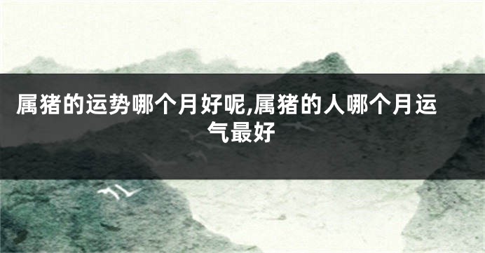 属猪的运势哪个月好呢,属猪的人哪个月运气最好