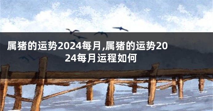 属猪的运势2024每月,属猪的运势2024每月运程如何