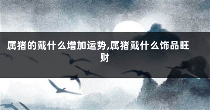 属猪的戴什么增加运势,属猪戴什么饰品旺财