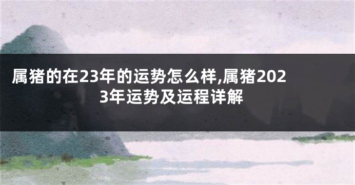 属猪的在23年的运势怎么样,属猪2023年运势及运程详解