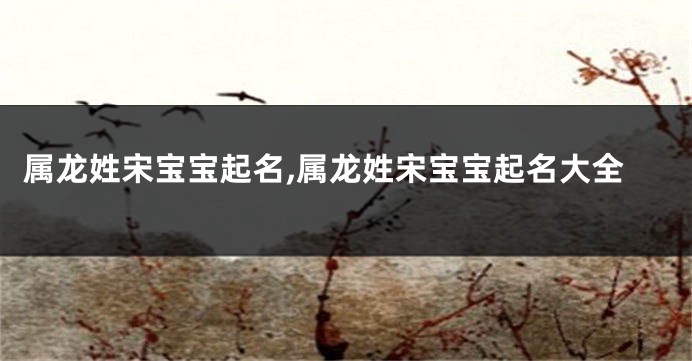 属龙姓宋宝宝起名,属龙姓宋宝宝起名大全