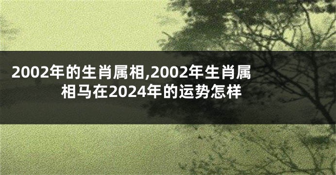 2002年的生肖属相,2002年生肖属相马在2024年的运势怎样