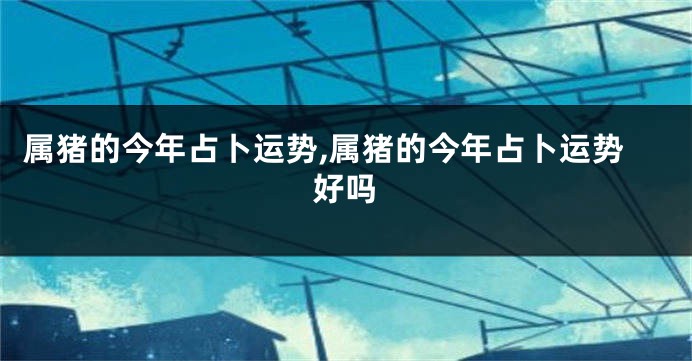 属猪的今年占卜运势,属猪的今年占卜运势好吗