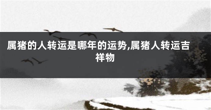 属猪的人转运是哪年的运势,属猪人转运吉祥物
