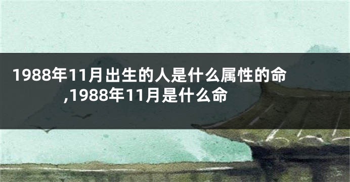1988年11月出生的人是什么属性的命,1988年11月是什么命