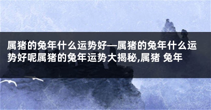 属猪的兔年什么运势好—属猪的兔年什么运势好呢属猪的兔年运势大揭秘,属猪 兔年