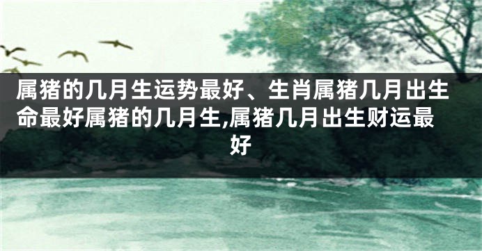 属猪的几月生运势最好、生肖属猪几月出生命最好属猪的几月生,属猪几月出生财运最好