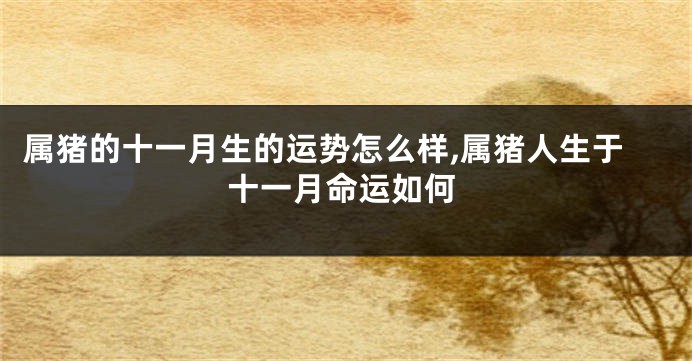 属猪的十一月生的运势怎么样,属猪人生于十一月命运如何