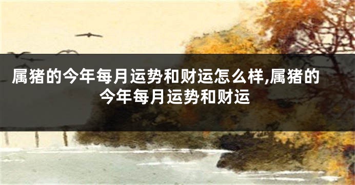 属猪的今年每月运势和财运怎么样,属猪的今年每月运势和财运