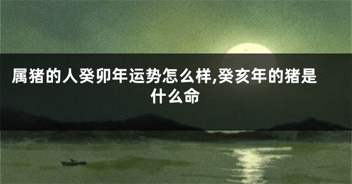 属猪的人癸卯年运势怎么样,癸亥年的猪是什么命