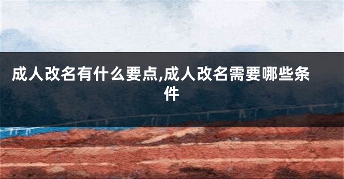 成人改名有什么要点,成人改名需要哪些条件